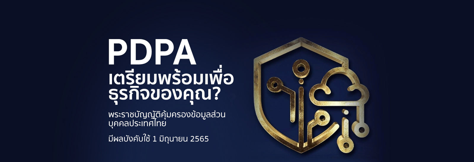 การปกป้องข้อมูล &amp; PDPA