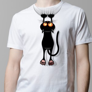 cat-front