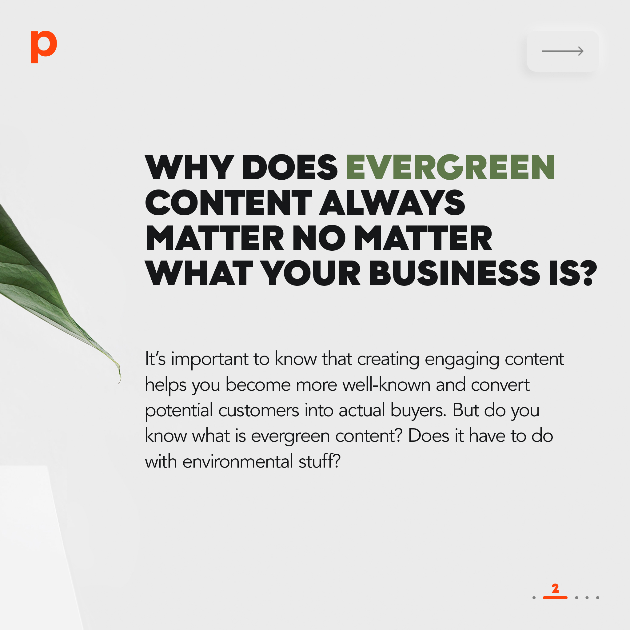 Why does evergreen content always matter no matter what your business is?