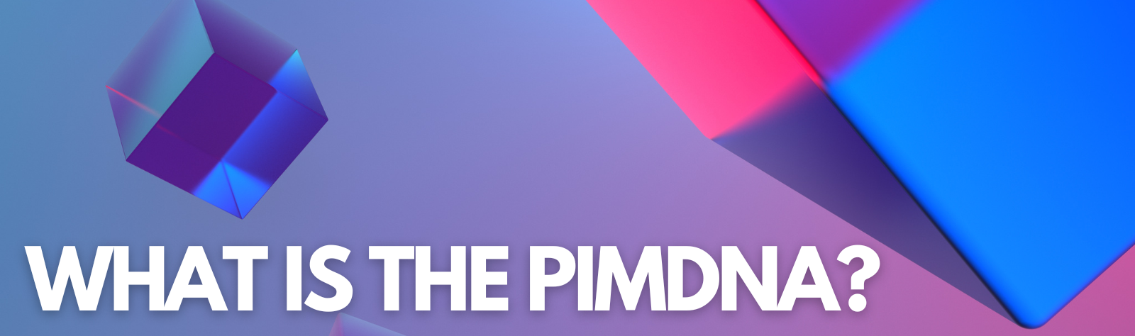 What is the PIMDNA